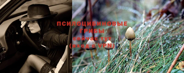 первитин Майский