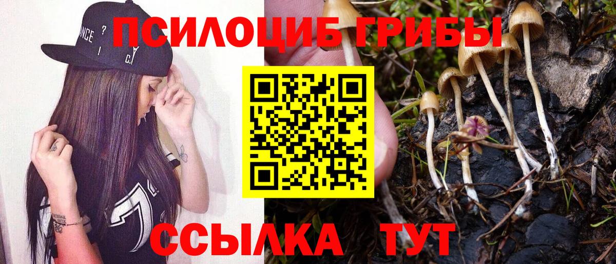 Липецк  Псилоцибиновые грибы MAGIC MUSHROOMS  Псилоцибиновые грибы GOLDEN TEACHER  купить закладку  Вход с VPN 